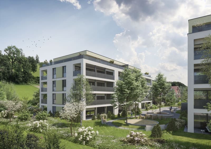 Unique new apartments in Zofingen! (4)