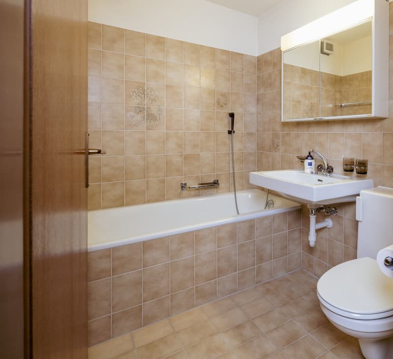 Charmante 2.5-Zimmer-Maisonettewohnung in ruhigem Quartier zu verkaufen (3)