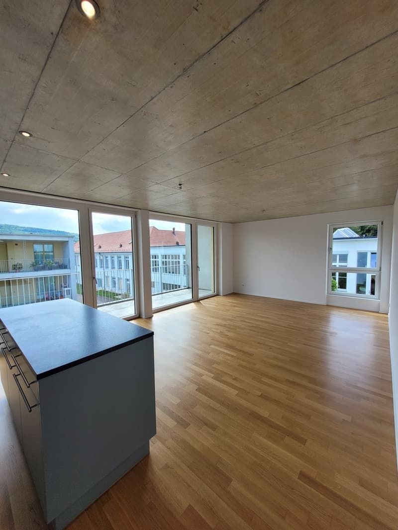 Charmante 3.5-Zimmerwohnung in Wangen bei Olten (2)