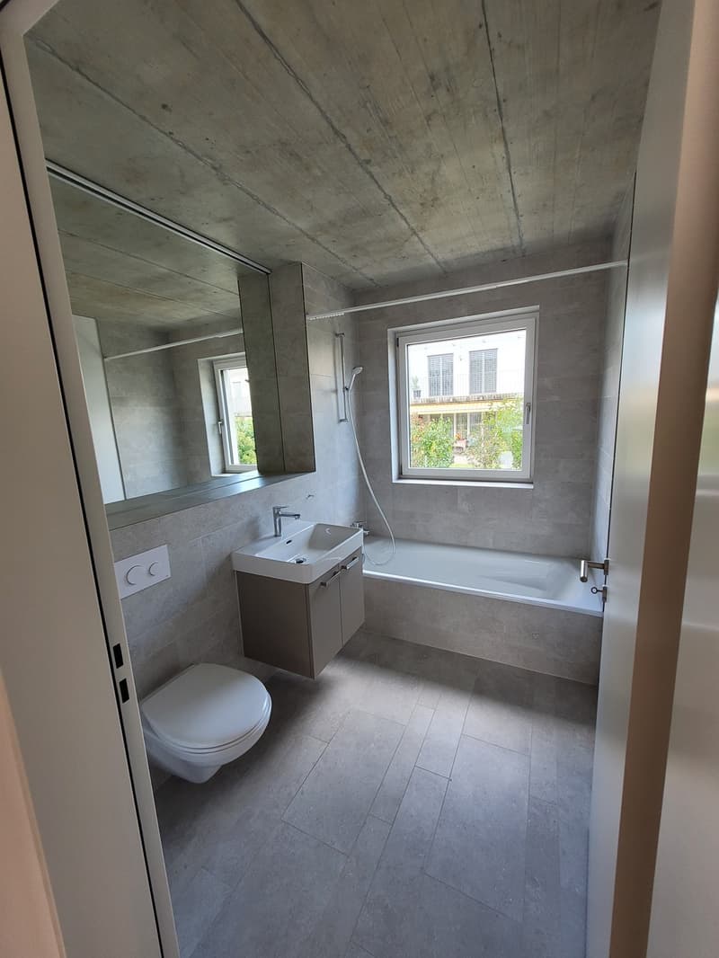 Charmante 3.5-Zimmerwohnung in Wangen bei Olten (6)