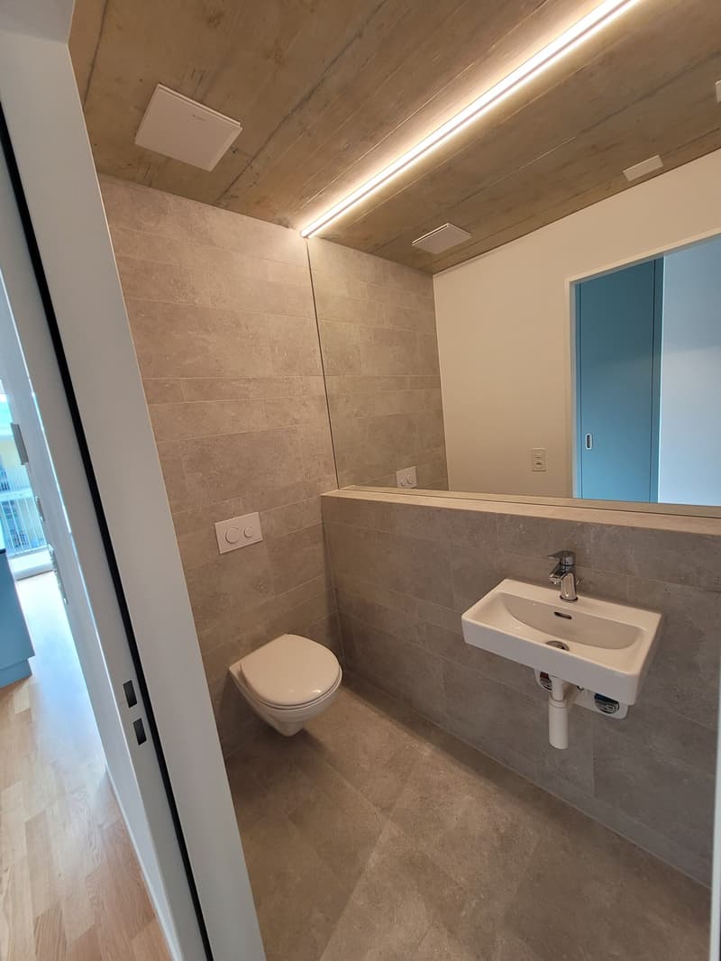 Charmante 3.5-Zimmerwohnung in Wangen bei Olten (5)