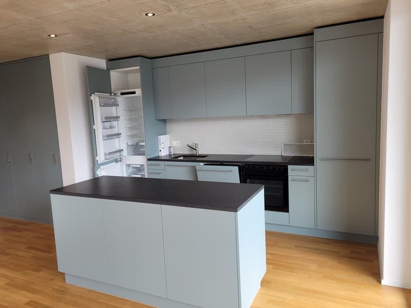 Charmante 3.5-Zimmerwohnung in Wangen bei Olten (1)