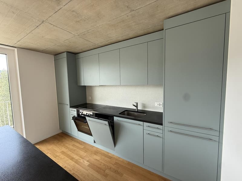 Charmante 3.5-Zimmerwohnung in Wangen bei Olten (3)