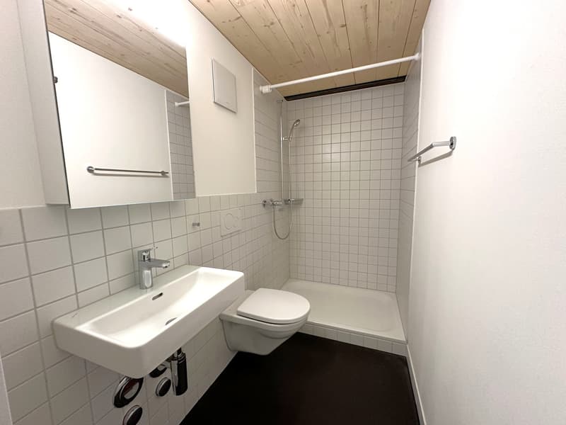 Moderne 2.5-Zimmer Loft-Wohnung zu vermieten (7)