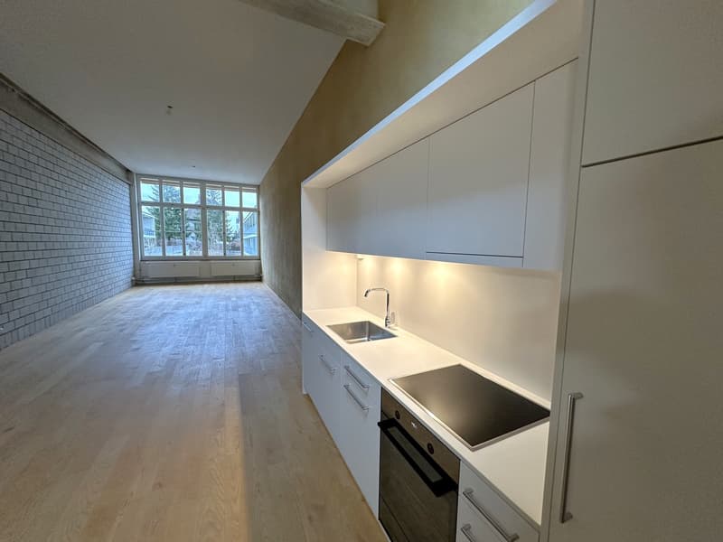 Moderne 2.5-Zimmer Loft-Wohnung zu vermieten (3)