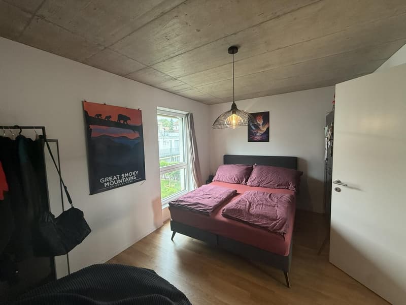 2.5-Zimmerwohnung in Wangen bei Olten zu vermieten (3)