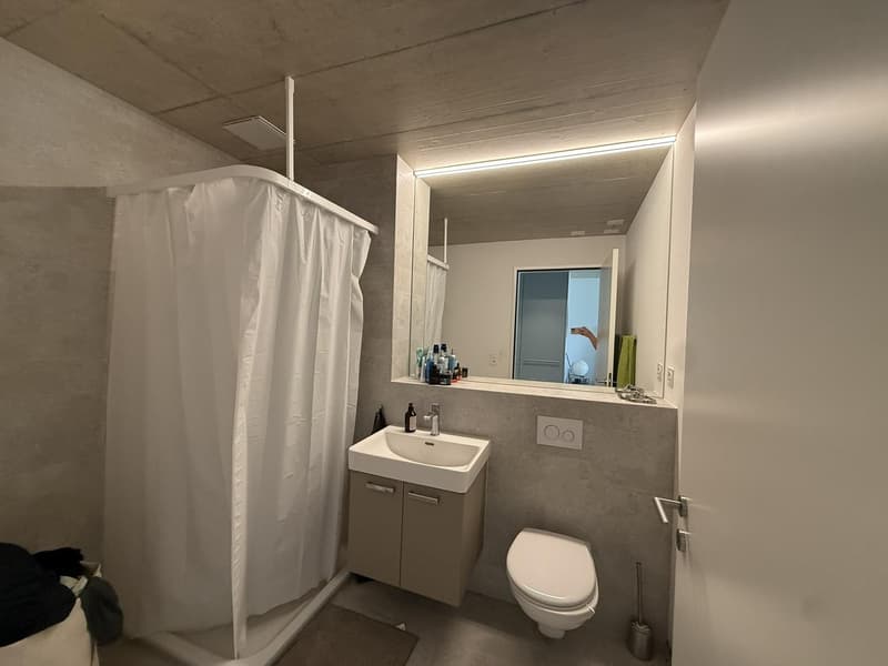 2.5-Zimmerwohnung in Wangen bei Olten zu vermieten (5)