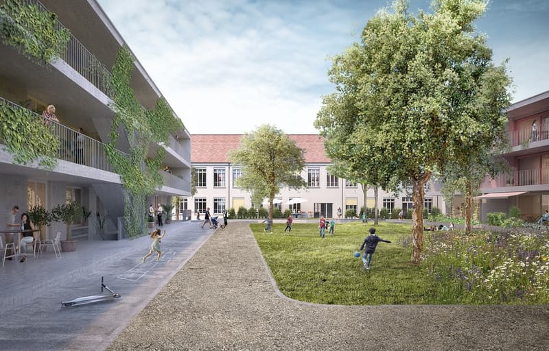 Helle 2.5-Zimmerwohnung in Wangen bei Olten (1)