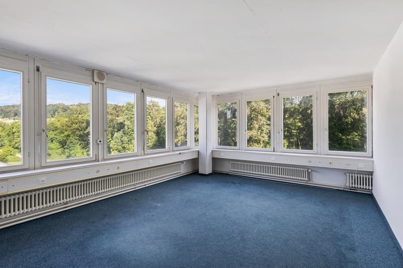 Büroflächen in verschiedenen Grössen Schönenwerd (4)