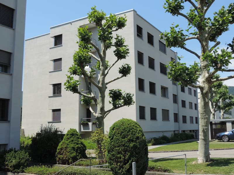 Charmante 3.5-Zimmerwohnung in Hägendorf (1)