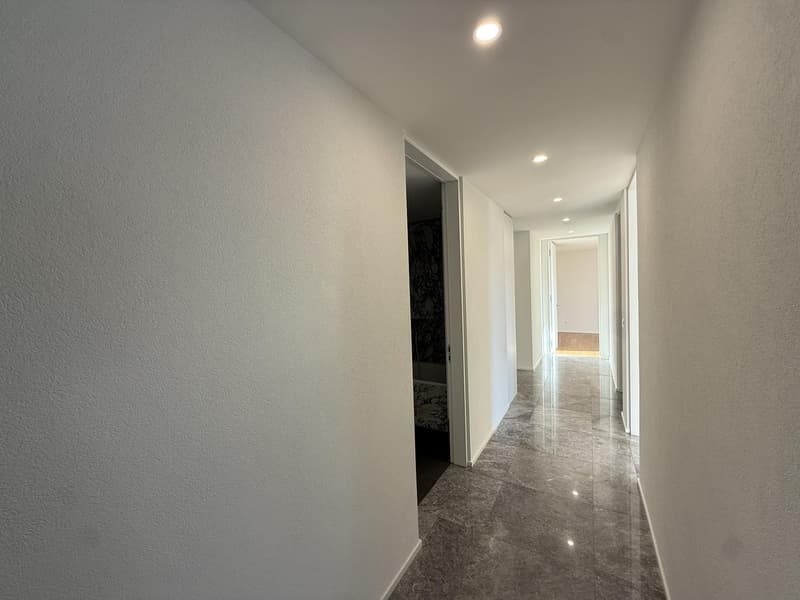 Moderne 4.5-Zimmerwohnung 2 Einstellhallenplätze inklusive in Niedergösgen (7)