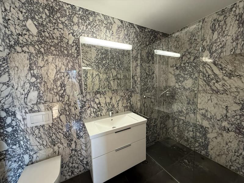 Moderne 4.5-Zimmerwohnung 2 Einstellhallenplätze inklusive in Niedergösgen (10)