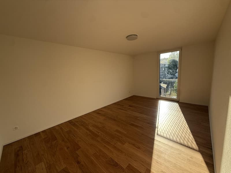 Moderne 4.5-Zimmerwohnung 2 Einstellhallenplätze inklusive in Niedergösgen (6)