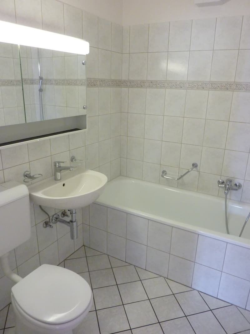 2.5-Room Apartment (6)