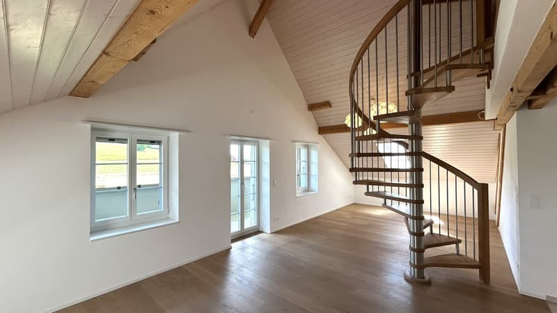 Exklusive Galeriewohnung (1)