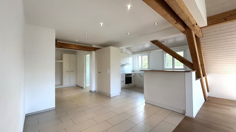 Exklusive Galeriewohnung (3)