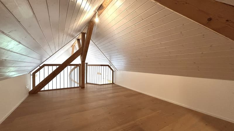 Exklusive Galeriewohnung (2)