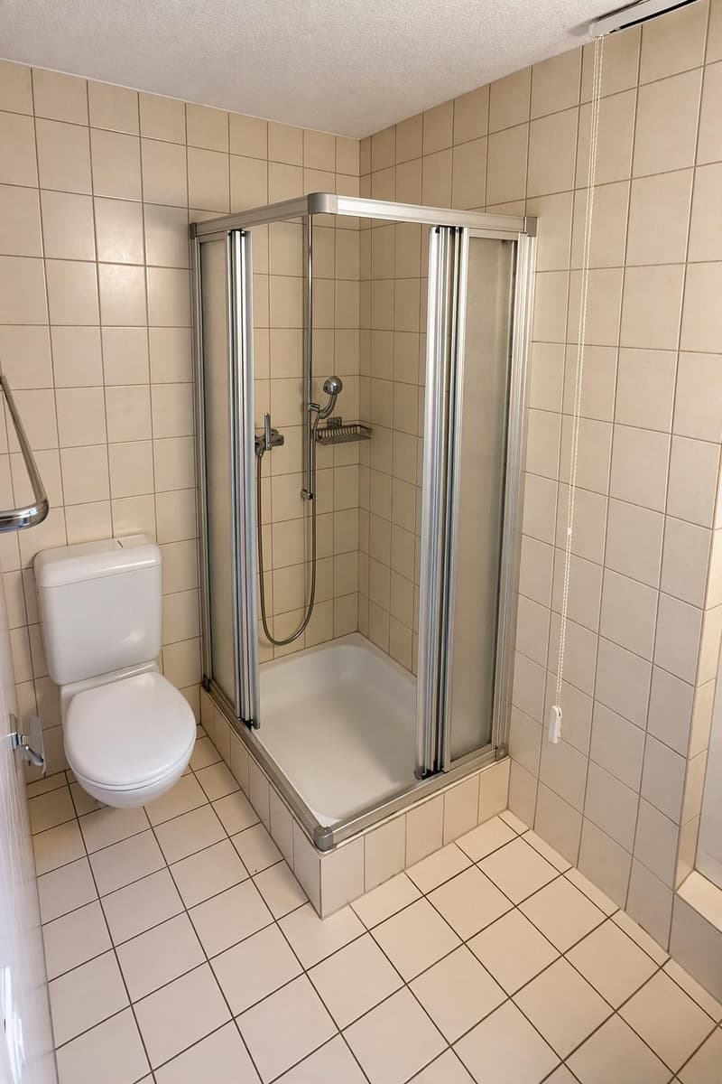 Schönes Studio in Lyss – ideal für Wochenaufenthalter (4)