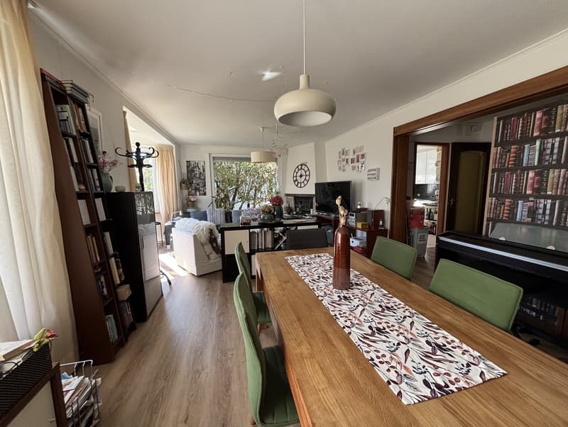 Einfamilienhaus mit Einliegerwohnung und grossem Garten (3)