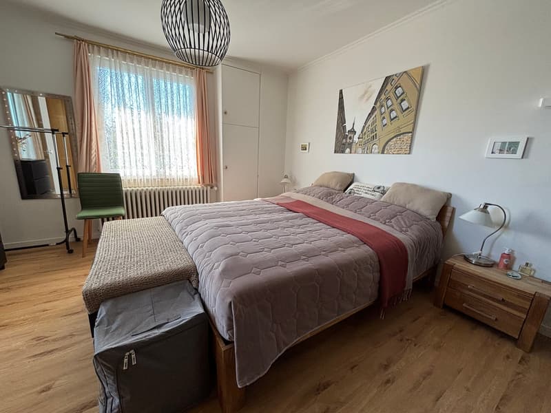 Einfamilienhaus mit Einliegerwohnung und grossem Garten (9)