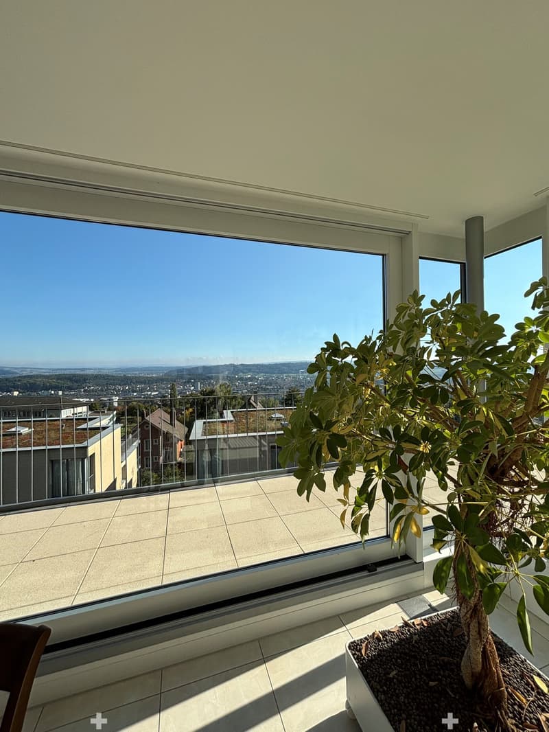 large glass window, metal railings, floored balcony, tree