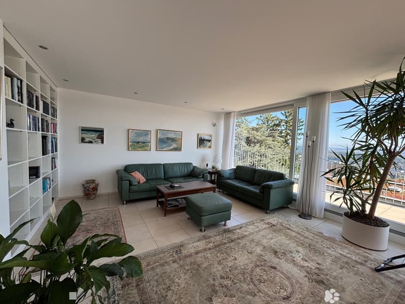 open space, large windows, balcony, 2 green couches, ottoman, coffee table, carpet, bookshelves, vases, paintings