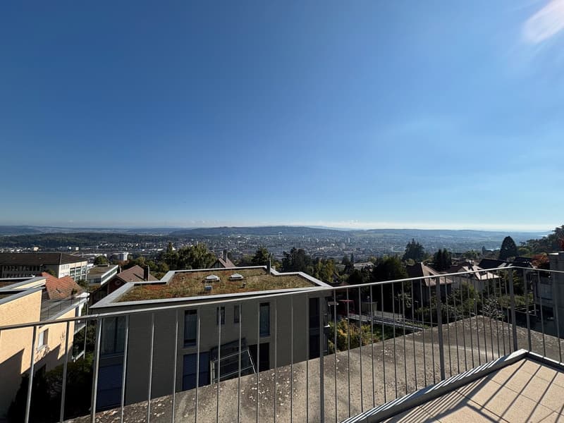 rooftop terrace, railing, greenery, city skyline