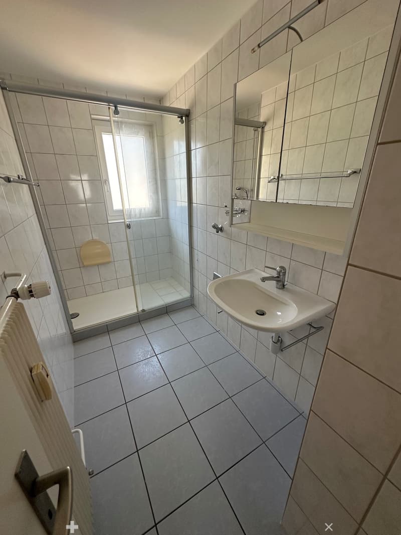 Charmante 4.5-Zimmer-Wohnung mit Balkon in Biel (7)