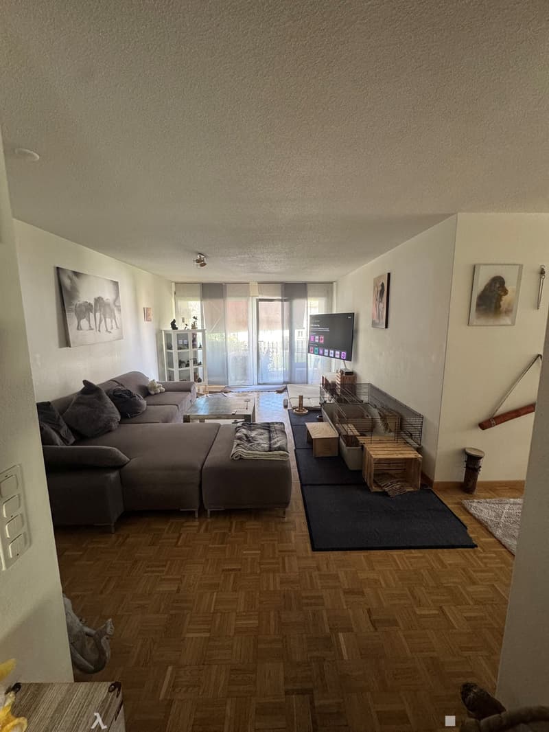 Gemütliche 4.5-Zimmerwohnung im 1. OG (4)