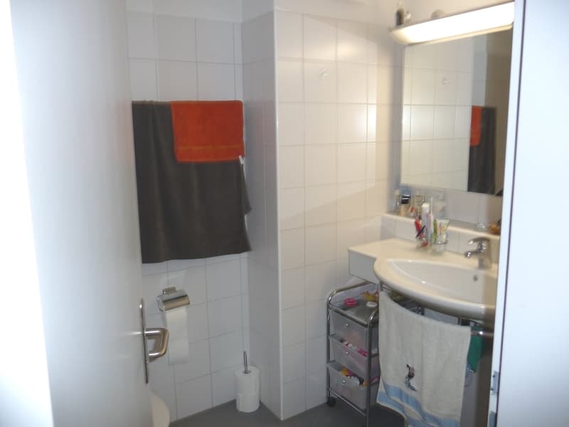 Schöne 4.5-Zimmerwohnung in Ipsach zu vermieten! (6)