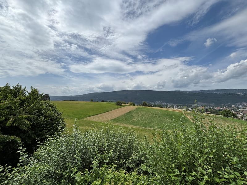 Grosszügiges 5.5-Zimmer-Einfamilienhaus in Bellmund (22)