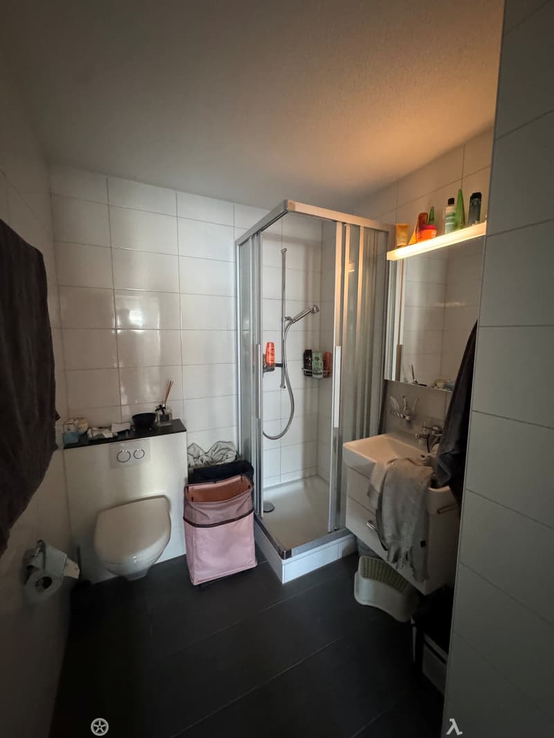 6-Zimmer-Duplexwohnung (6)