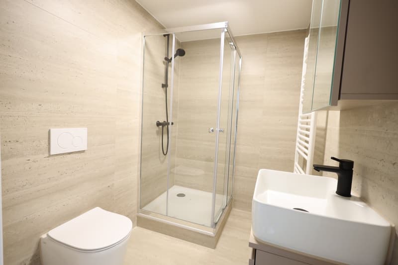 Neu sanierte 2-Zimmer-Wohnung im Zentrum von Biel (1)