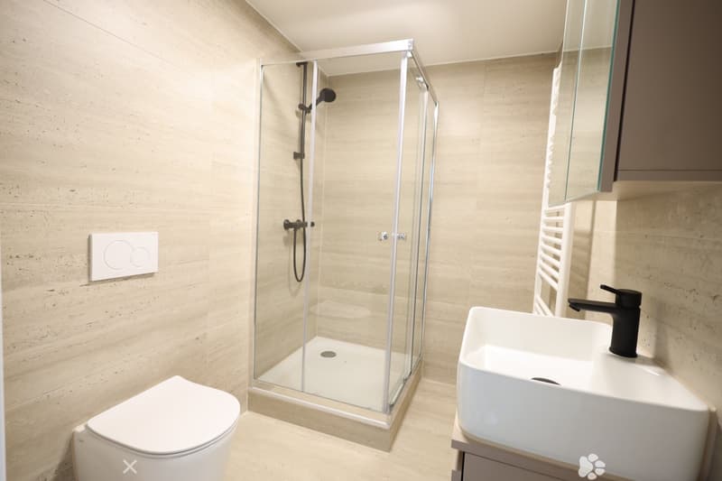 Neu sanierte 2-Zimmer-Wohnung im Zentrum von Biel (2)
