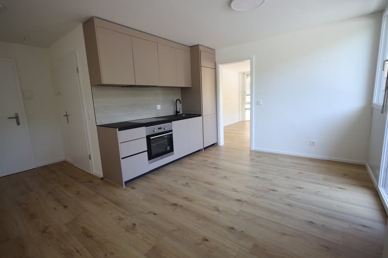 Neu sanierte 2-Zimmer-Wohnung im Zentrum von Biel (2)