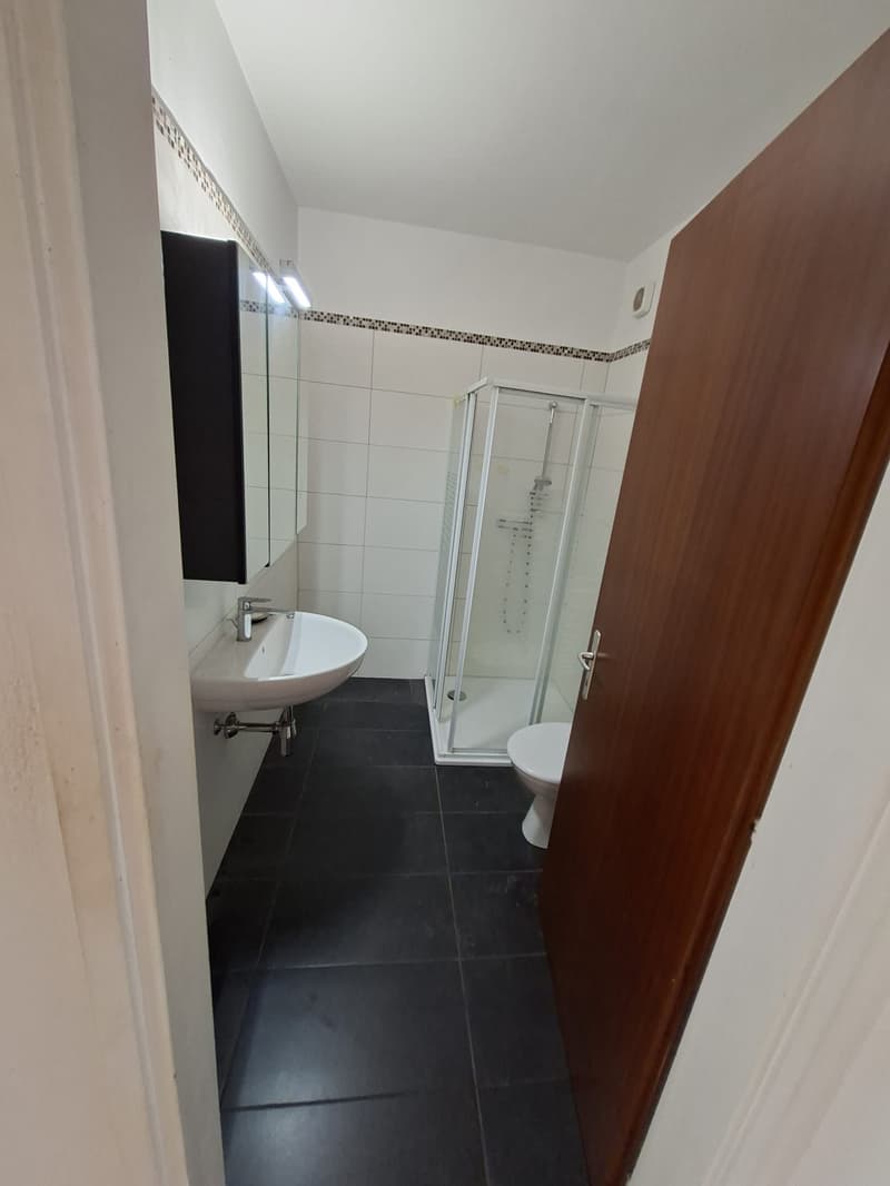 Grazioso appartamento con vista lago a Locarno - Charmante Wohnung mit Seeblick in Locarno (6)