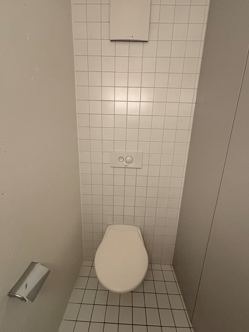 Helle 4.5-Zimmer-Duplexwohnung mit Balkon in Biel (12)