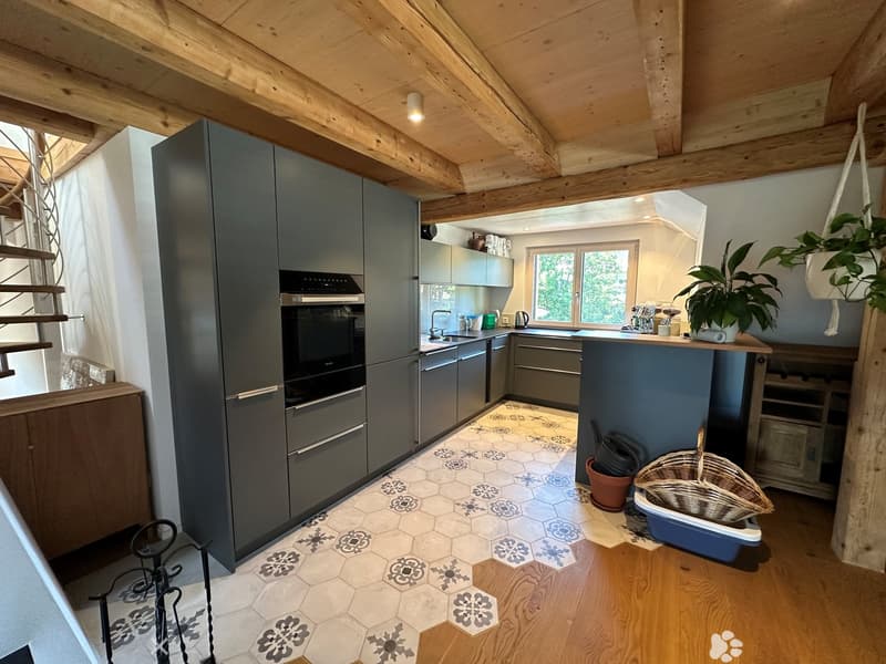 Top sanierte Attika-Wohnung (2)