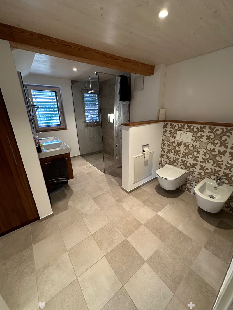 Top sanierte Attika-Wohnung (4)