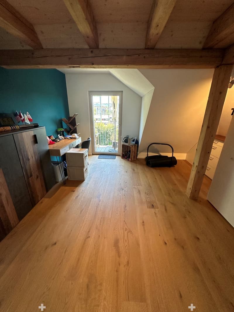 Top sanierte Attika-Wohnung (5)