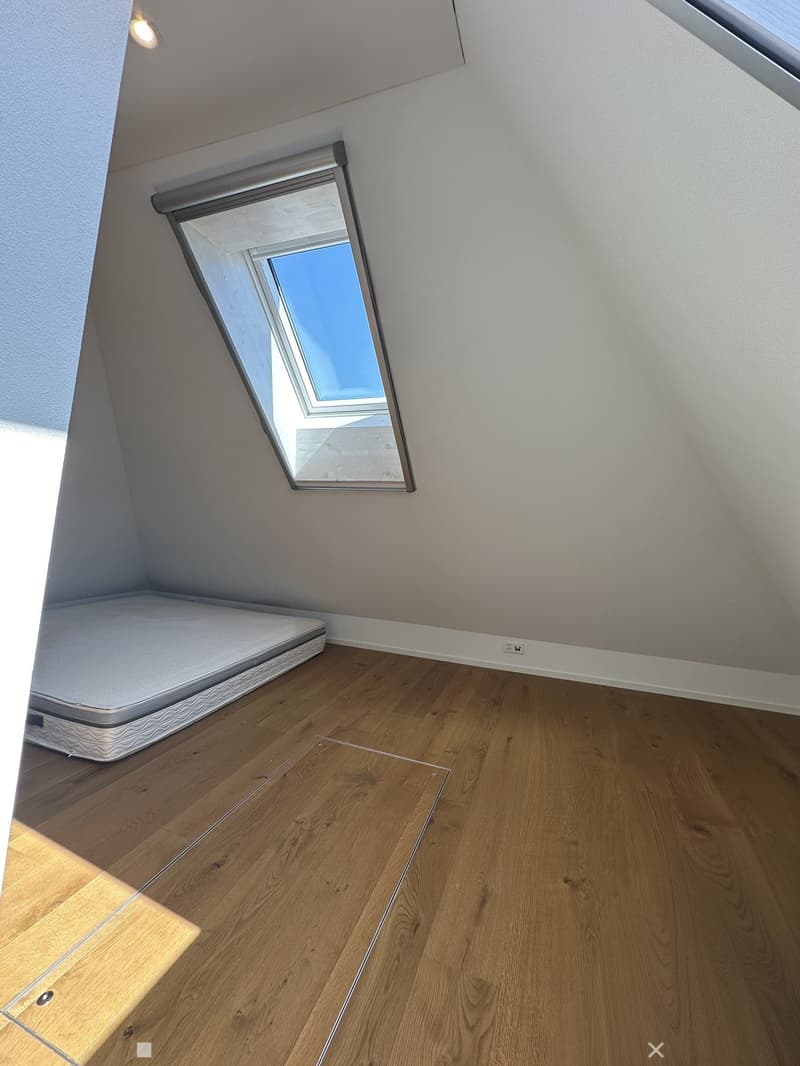 Top sanierte Attika-Wohnung (6)