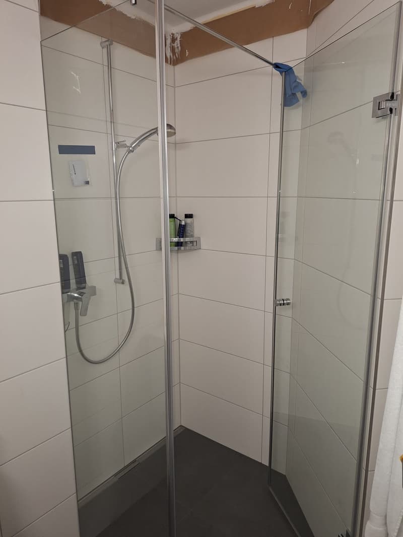 Grosse 4.5-Zimmerwohnung in familienfreundlichem Quartier (5)