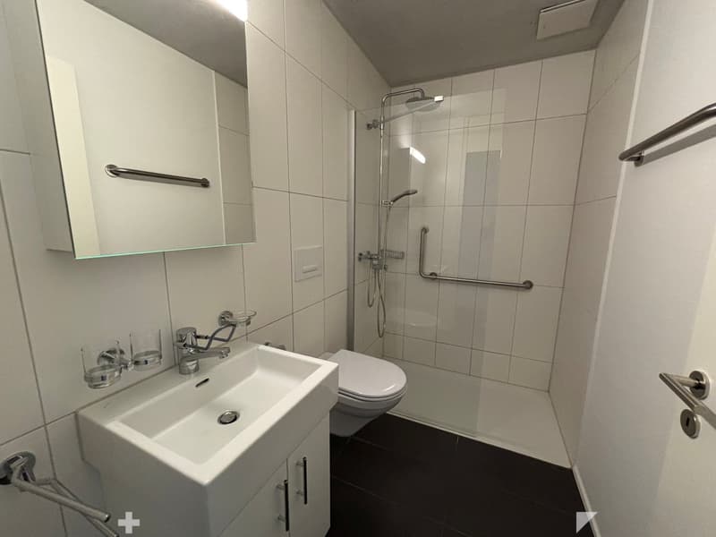 Helle 4.5-Zimmer-Wohnung zur Miete in Biel (6)