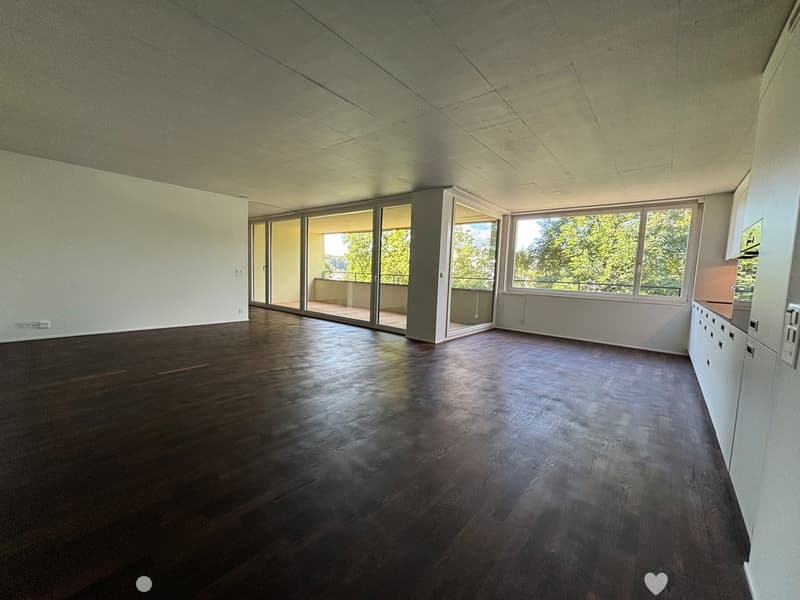 Helle 4.5-Zimmer-Wohnung zur Miete in Biel (1)