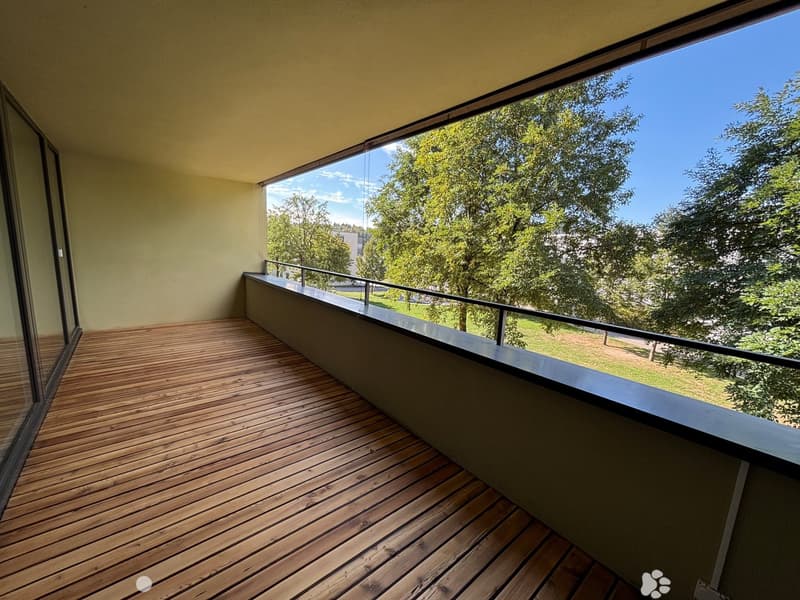 Helle 4.5-Zimmer-Wohnung zur Miete in Biel (3)