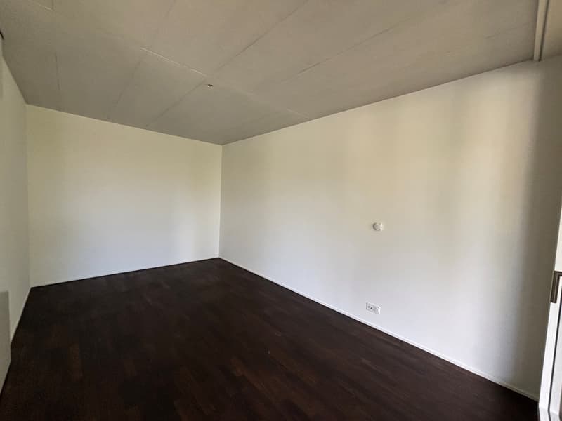 Helle 4.5-Zimmer-Wohnung zur Miete in Biel (10)