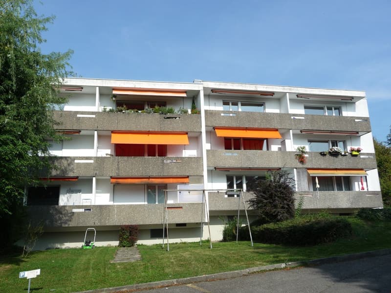 Totalsanierte 2.5-Zimmerwohnung in Seenähe (1)