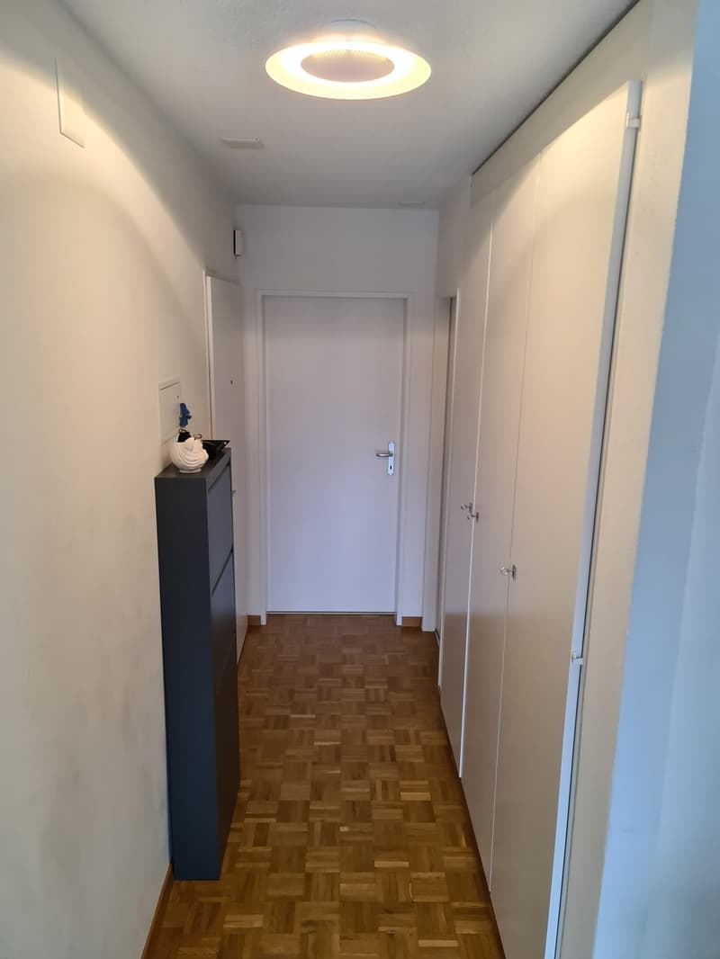 Totalsanierte 2.5-Zimmerwohnung in Seenähe (2)