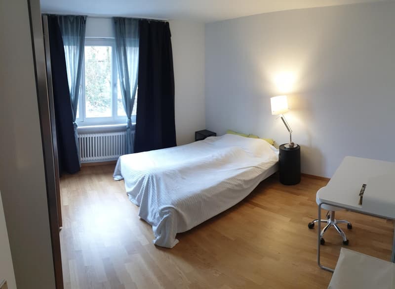 Totalsanierte 2.5-Zimmerwohnung in Seenähe (4)