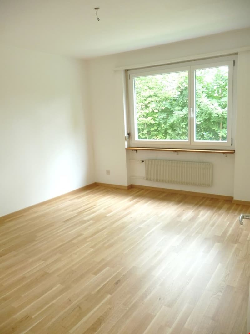 4.5-Zimmerwohnung direkt an der Zihl (3)